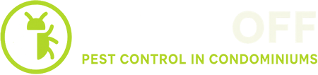 Catchoff Pest Control | Miami’s #1 Condominium Pest Control Specialists
