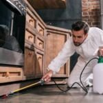 The benefits of integrated pest management for your home